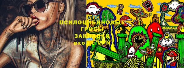 скорость Кукмор