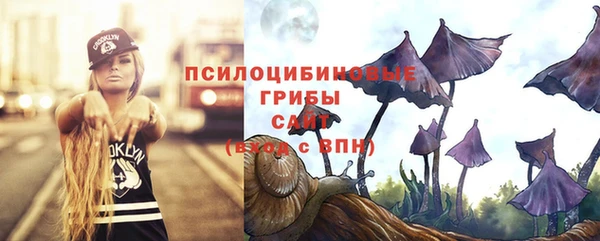 скорость Кукмор